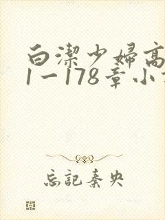 白洁少妇高义第1一178章小说