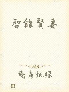 智能贤妻