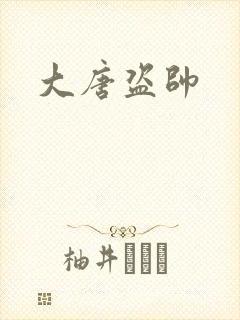 大唐盗帅