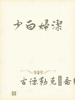 少白妇洁封面