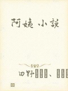 阿姨 小说