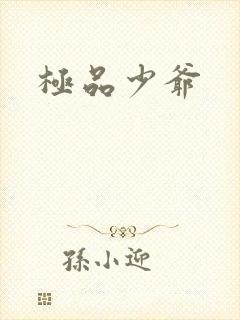 极品少爷