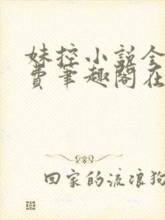妹控小说全文免费笔趣阁在线阅读