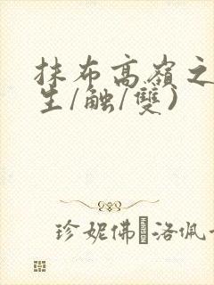 抹布高岭之花(生/触/双)