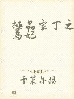 极品家丁之册母为妃