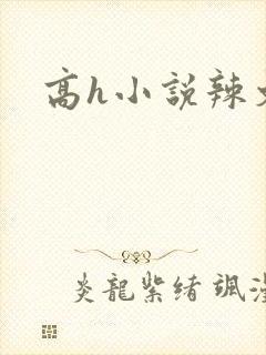 高h小说辣文