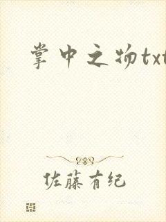 掌中之物txt