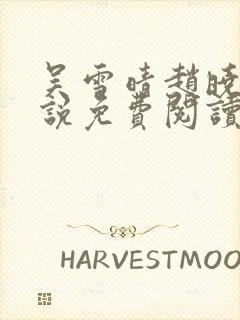 吴雪晴赵晓东小说免费阅读