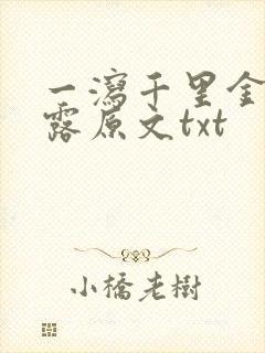 一泻千里金银花露原文txt