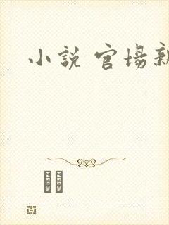 小说 官场新贵