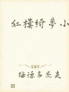 红楼绮梦小说