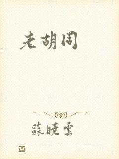 老胡同