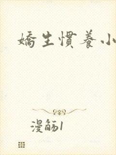 娇生惯养小说