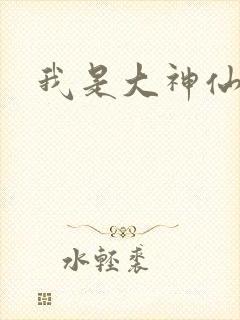 我是大神仙小说