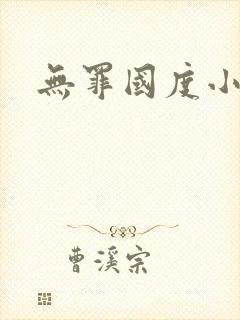 无罪国度小说