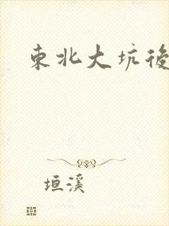 东北大坑后续2