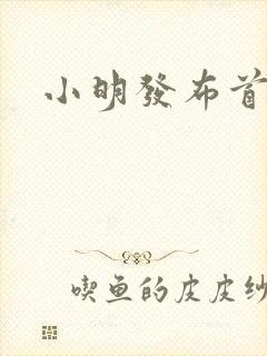 小明发布首页