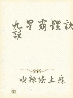 九星霸体诀 小说