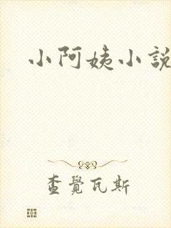 小阿姨小说封面