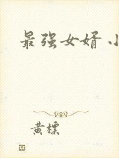 最强女婿 小说