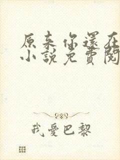 原来你还在这里小说免费阅读