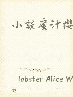 小说蜜汁樱桃