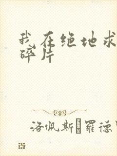我在绝地求生捡碎片