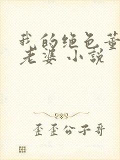 我的绝色董事长老婆 小说