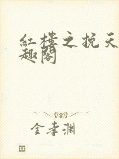 红楼之挽天倾笔趣阁