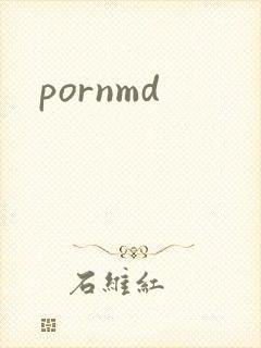 pornmd封面