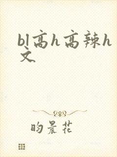 bl高h高辣h文