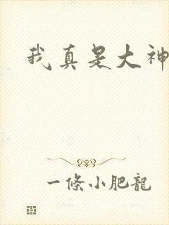 我真是大神医封面