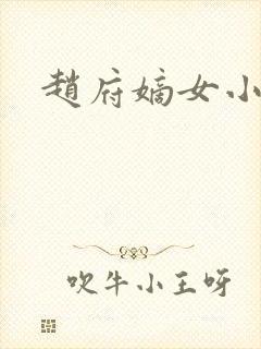 赵府嫡女小说