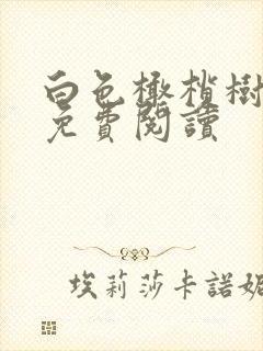 白色橄榄树全文免费阅读