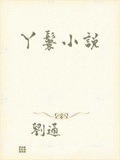 丫鬟小说