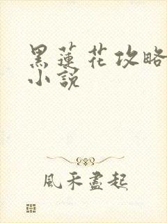 黑莲花攻略手册小说封面