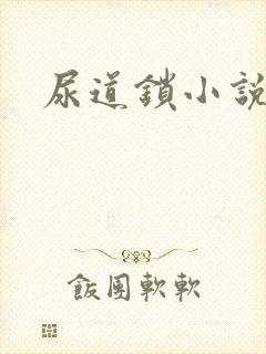 尿道锁小说