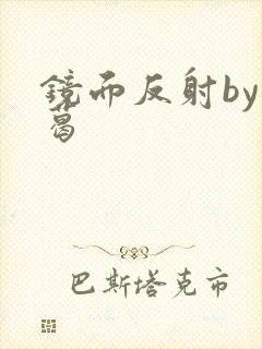 镜面反射by九葛封面