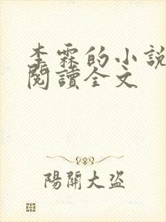 李霖的小说免费阅读全文