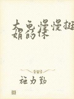 大龟慢慢挺进张娟的休封面