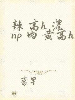 辣 高h 浓 np 肉 黄高h封面