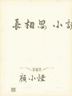 长相思 小说
