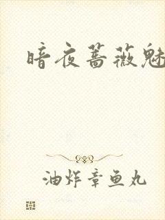 暗夜蔷薇魅