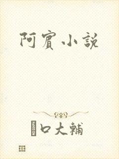 阿宾小说