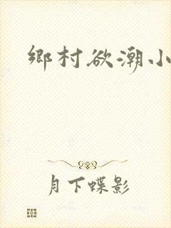 乡村欲潮小说封面