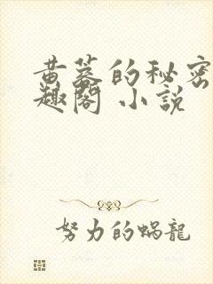 黄蓉的秘密 笔趣阁 小说