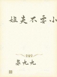 姐夫不要小说