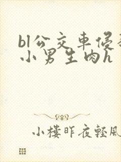bl公交车侵犯小男生肉h封面