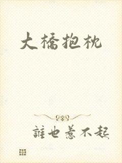 大桥抱枕