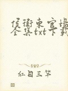侯卫东官场笔记全集txt下载